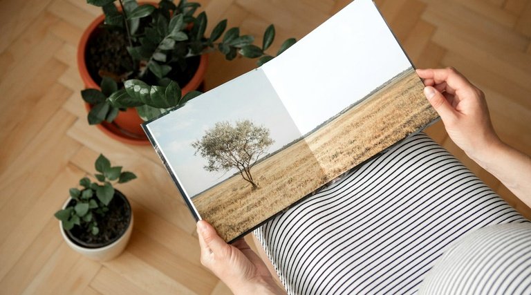 Salário-maternidade: Mulher segura álbum de fotos em casa refletindo sobre períodos de qualidade de segurada da Previdência